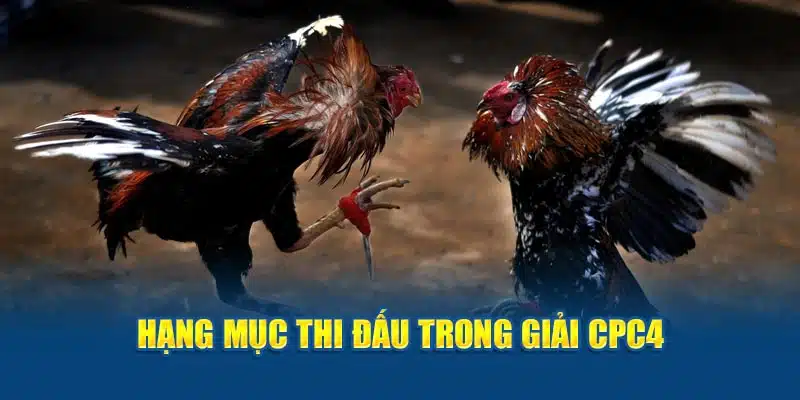 Chuyên mục thi đấu trong giải CPC4