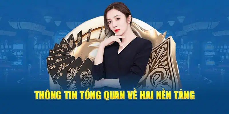 Thông tin tổng quan về hai nền tảng cá cược đẳng cấp châu Á